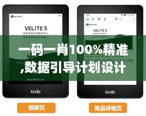 一碼一肖100%精準,數據引導計劃設計_Kindle3.164