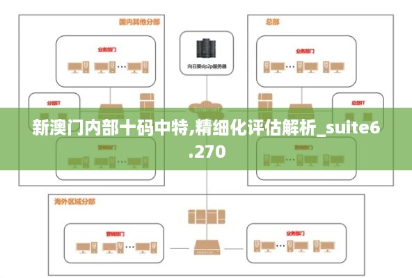 新澳門內(nèi)部十碼中特,精細化評估解析_suite6.270