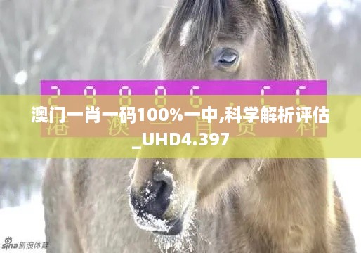 澳門一肖一碼100%一中,科學(xué)解析評估_UHD4.397