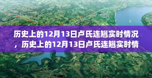 探索歷史上的盧氏連翹實時情況，指南與手冊揭秘盧氏連翹奧秘