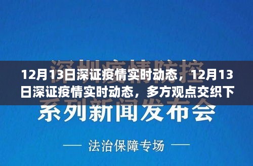 多方觀點交織下的洞察與反思，12月13日深證疫情實時動態(tài)分析