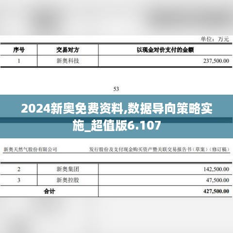 2024新奧免費資料,數(shù)據(jù)導(dǎo)向策略實施_超值版6.107