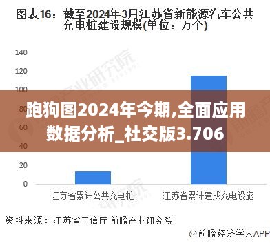 跑狗圖2024年今期,全面應用數據分析_社交版3.706