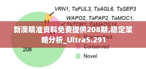 新澳精準(zhǔn)資料免費(fèi)提供208期,穩(wěn)定策略分析_Ultra5.291