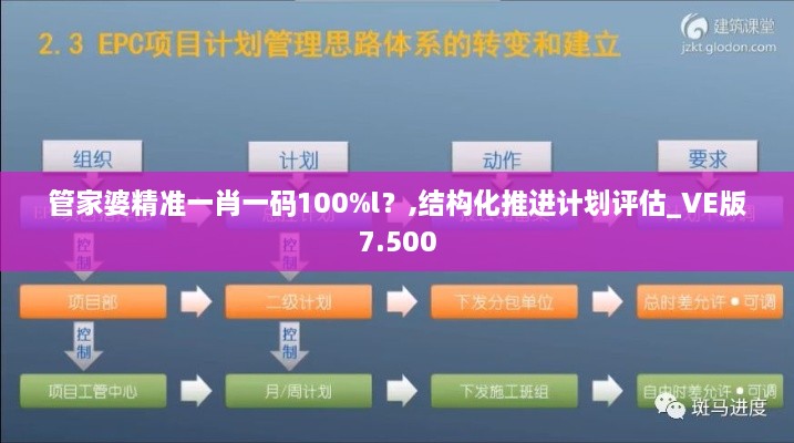 管家婆精準一肖一碼100%l？,結(jié)構(gòu)化推進計劃評估_VE版7.500