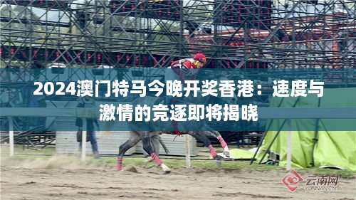 2024澳門特馬今晚開獎香港：速度與激情的競逐即將揭曉