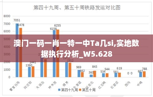 澳門一碼一肖一特一中Ta幾si,實(shí)地?cái)?shù)據(jù)執(zhí)行分析_W5.628