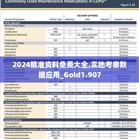 2024精準資料免費大全,實地考察數(shù)據(jù)應(yīng)用_Gold1.907