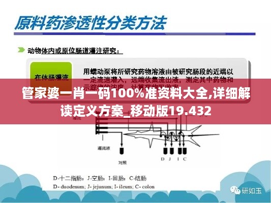 管家婆一肖一碼100%準(zhǔn)資料大全,詳細(xì)解讀定義方案_移動版19.432