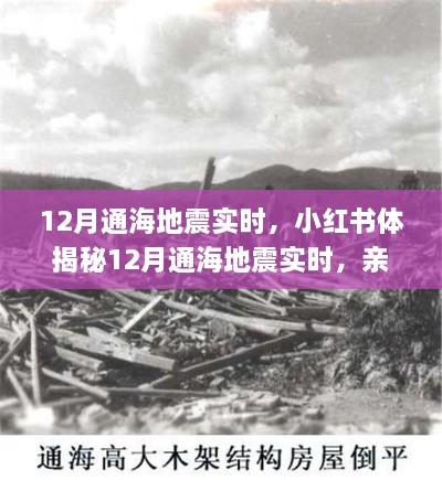 揭秘通海地震親歷者真實感受與應(yīng)對策略，小紅書實時更新地震動態(tài)！