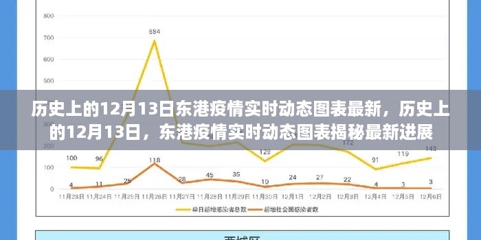 歷史上的12月13日東港疫情最新實(shí)時(shí)動(dòng)態(tài)圖表揭秘，實(shí)時(shí)更新與進(jìn)展追蹤