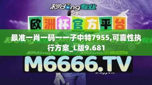 最準一肖一碼一一子中特7955,可靠性執(zhí)行方案_L版9.681