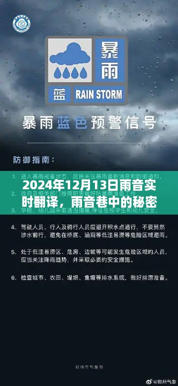 雨音巷的秘密寶藏，實(shí)時(shí)翻譯小店的傳奇故事（2024年12月13日）