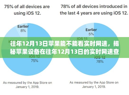 揭秘，往年12月13日蘋果設(shè)備實(shí)時(shí)網(wǎng)速查看功能解析