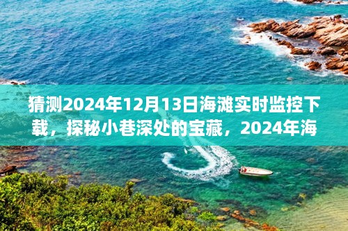 探秘寶藏，2024海灘實時監(jiān)控下載之旅的奇遇