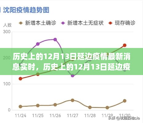 多維度視角下的深度分析，歷史上的延邊疫情最新消息實時報道與解讀（截至12月13日）