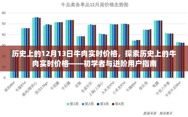 歷史上的牛肉實時價格探索，從入門到進階的指南