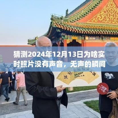 揭秘?zé)o聲瞬間背后的故事，為何2024年實(shí)時(shí)照片無(wú)聲開啟學(xué)習(xí)與成長(zhǎng)之旅？