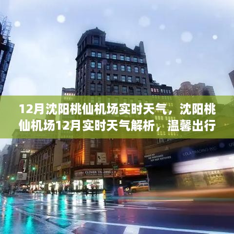 沈陽桃仙機場12月實時天氣解析與溫馨出行攻略