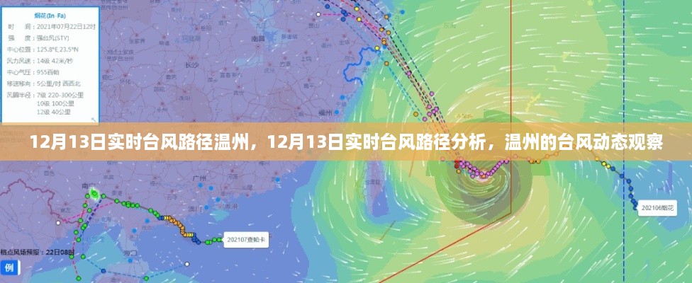 12月13日溫州臺風(fēng)路徑實時分析，最新動態(tài)與觀察報告