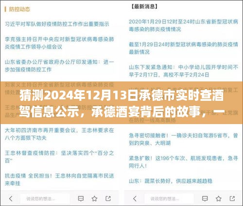 承德酒宴背后的故事，酒駕信息公示探秘之旅（猜測(cè)2024年12月13日承德市實(shí)時(shí)查酒駕信息公示）