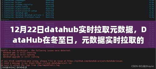 冬至日DataHub元數(shù)據(jù)實時拉取的進(jìn)化之路與時代影響解析