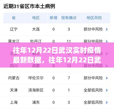 往年12月22日武漢實時疫情數(shù)據(jù)深度解析，特性、體驗、競品對比及用戶群體分析報告