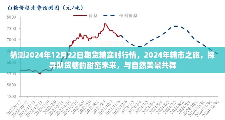 探尋期貨糖的甜蜜未來(lái)，預(yù)測(cè)2024年糖市行情與期貨糖實(shí)時(shí)行情展望