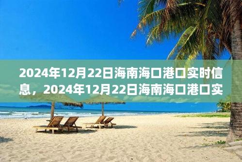 2024年12月22日海南海口港口實時信息全解析，小紅書帶你掌握最新動態(tài)