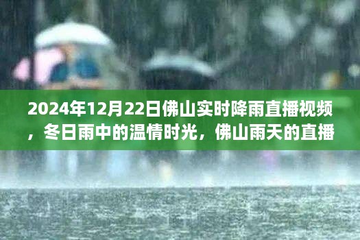 溫情時光與友情故事，佛山雨天直播實錄，實時降雨直播視頻