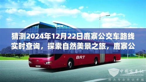 鹿寨公交路線新探秘，啟程2024年12月22日，探尋自然美景之旅實(shí)時(shí)查詢