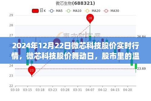 微芯科技股價(jià)實(shí)時(shí)行情解析，股市中的溫情故事在舞動(dòng)日展現(xiàn)（2024年12月22日）