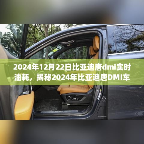 揭秘深度解析，2024年比亞迪唐DMI車型實(shí)時(shí)油耗解析