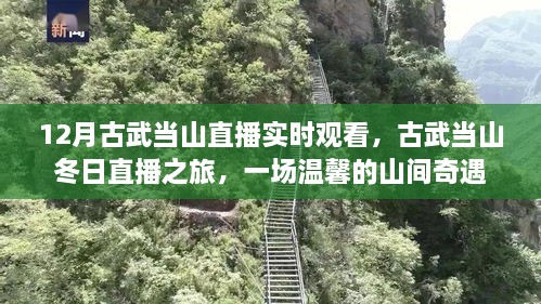 古武當(dāng)山冬日直播之旅，探尋山間奇遇的溫馨之旅