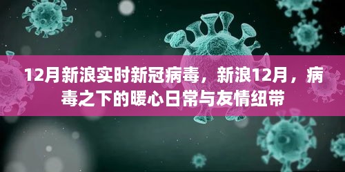 新浪12月，病毒下的暖心日常與友情紐帶，實(shí)時(shí)新冠病毒報(bào)道