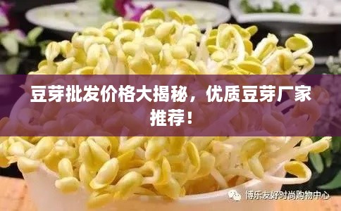 豆芽批發(fā)價(jià)格大揭秘，優(yōu)質(zhì)豆芽廠家推薦！