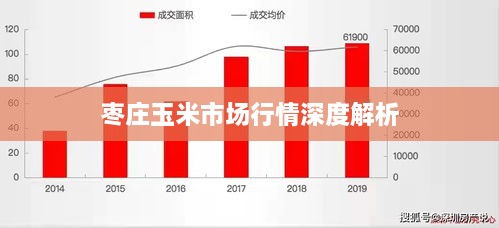 棗莊玉米市場行情深度解析