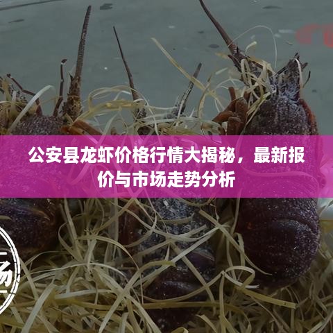 公安縣龍蝦價格行情大揭秘，最新報價與市場走勢分析