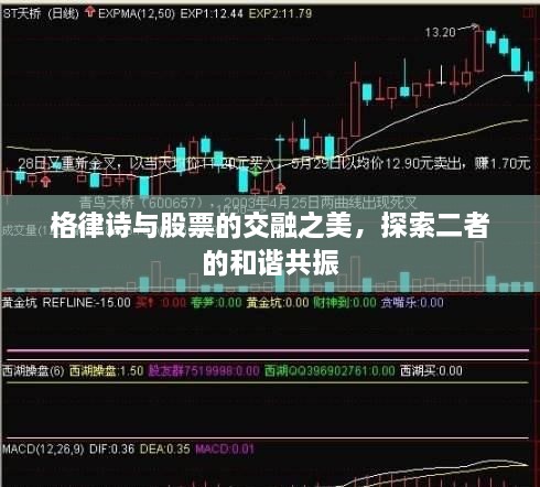 格律詩與股票的交融之美，探索二者的和諧共振