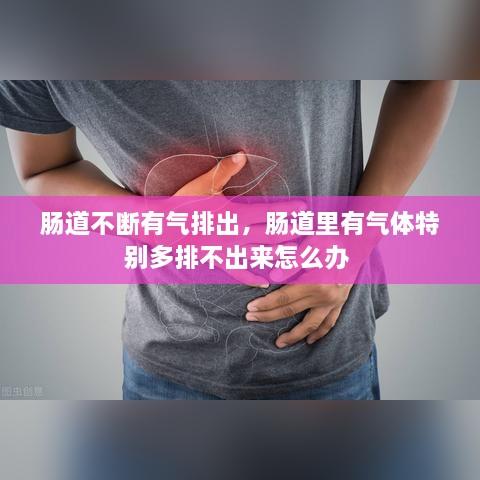 腸道不斷有氣排出，腸道里有氣體特別多排不出來怎么辦 