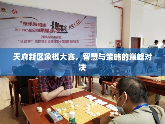 天府新區(qū)象棋大賽，智慧與策略的巔峰對決