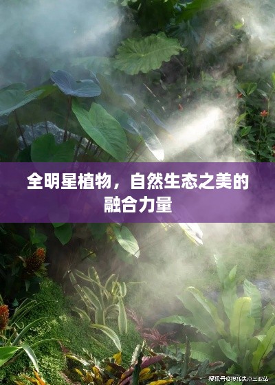 全明星植物，自然生態(tài)之美的融合力量