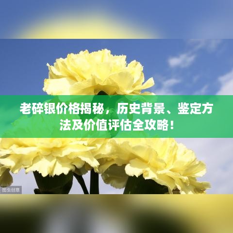 老碎銀價格揭秘，歷史背景、鑒定方法及價值評估全攻略！