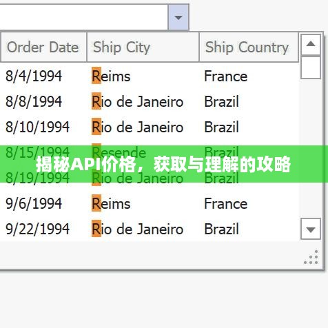 揭秘API價格，獲取與理解的攻略