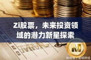 Zi股票，未來(lái)投資領(lǐng)域的潛力新星探索