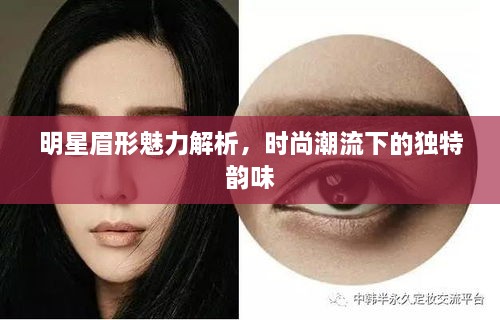 明星眉形魅力解析，時(shí)尚潮流下的獨(dú)特韻味