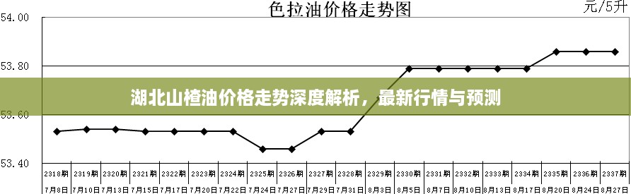 湖北山楂油價格走勢深度解析，最新行情與預測