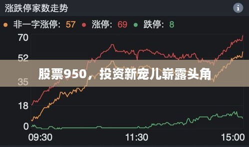 股票950，投資新寵兒嶄露頭角