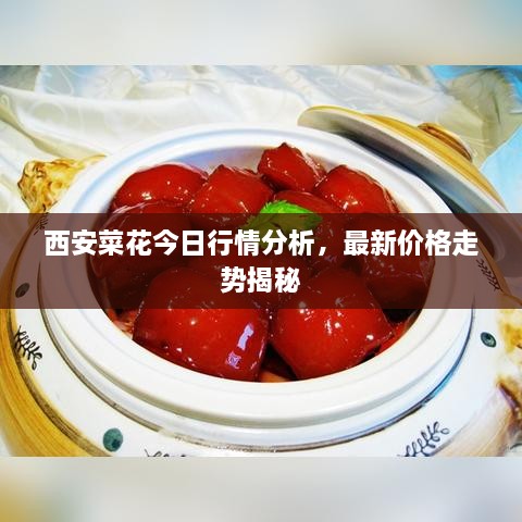 西安菜花今日行情分析，最新價(jià)格走勢(shì)揭秘