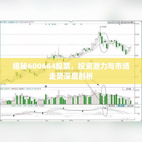 揭秘600664股票，投資潛力與市場走勢深度剖析